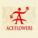 Ace Flowers Same Day Delivery